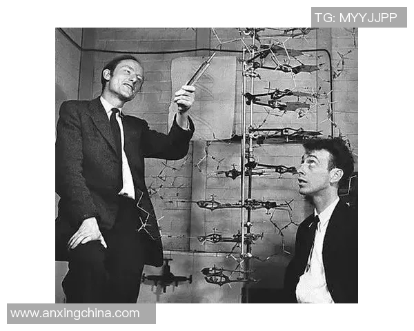 黑人球星在足球场上的智商优势与战术思维分析